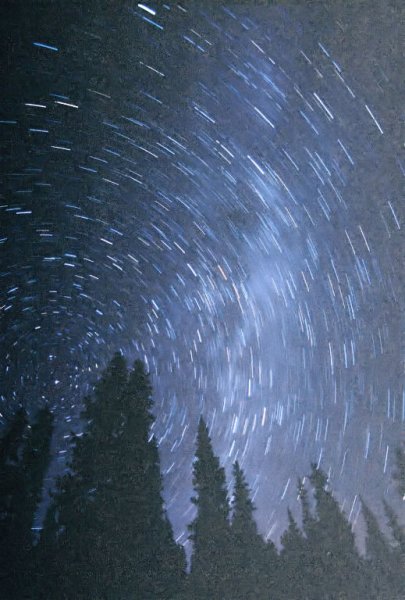 Pine trees and stars