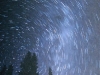 Pine trees and stars